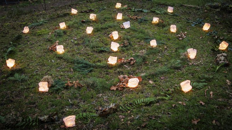 Kreis aus Kerzenlichtern auf dem Waldboden